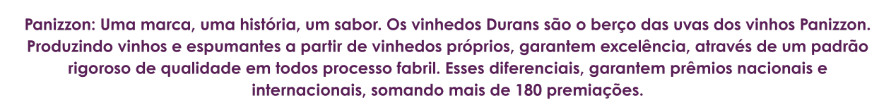 VINHOS PANIZZON (1).png